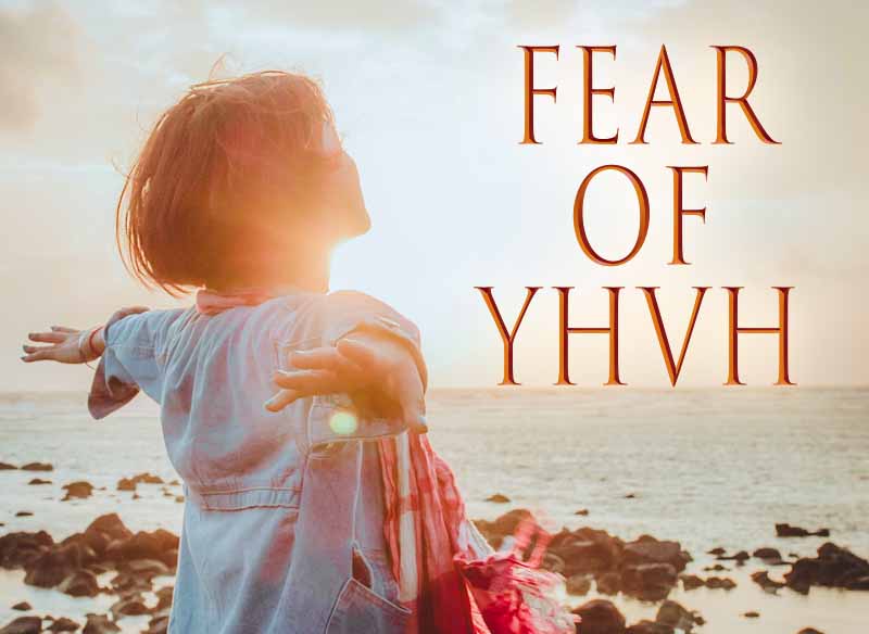 8th June 2024: Our Daily deLIGHT~7th Day-Fear of YHVH