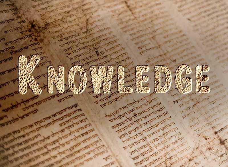 12th July 2024: Our Daily deLIGHT~6th Day-Knowledge