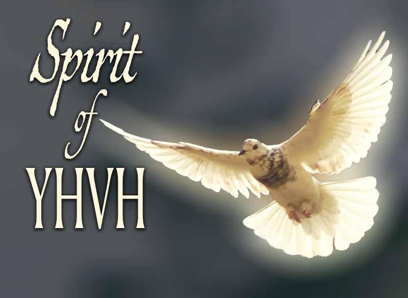17th July 2024: Our Daily deLIGHT~4th Day-Spirit of YHVH