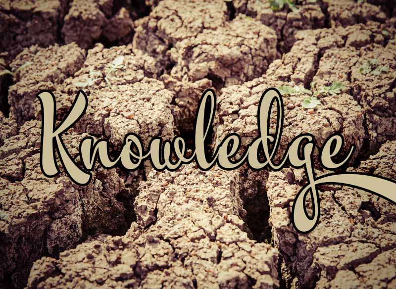 9th August 2024: Our Daily deLIGHT~6th Day-Knowledge