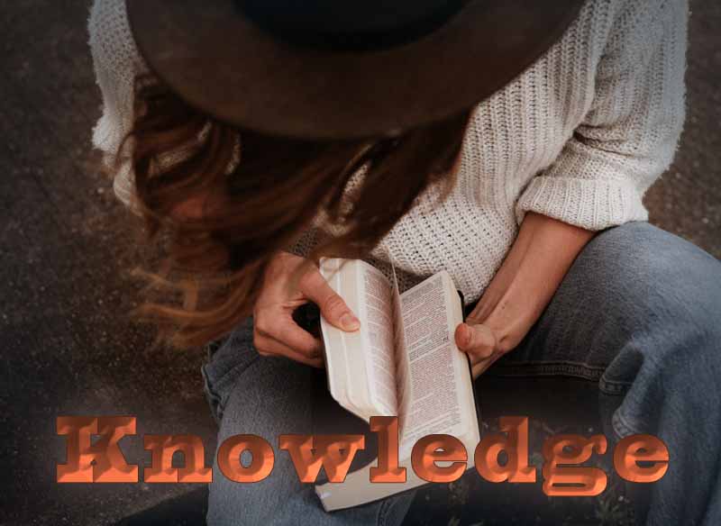 4th October 2024: Our Daily deLIGHT~6th Day-Knowledge