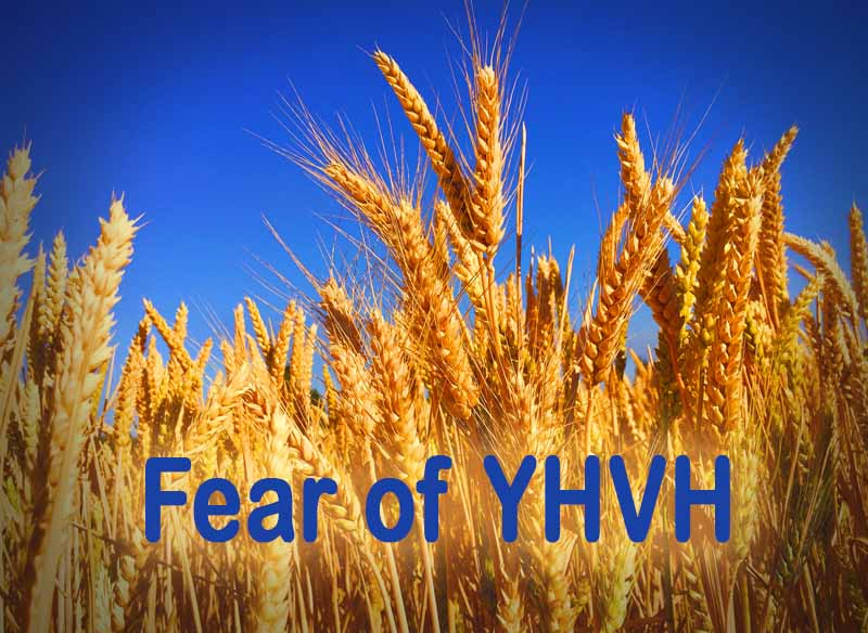 5th October 2024: Our Daily deLIGHT~7th Day-Fear of YHVH