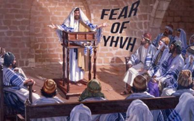 2nd November 2024: Our Daily deLIGHT~7th Day-Fear of YHVH