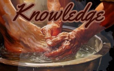 11th October 2024: Our Daily deLIGHT~6th Day-Knowledge