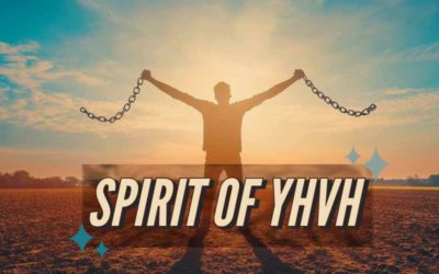 16th October 2024: Our Daily deLIGHT~4th Day-Spirit of YHVH